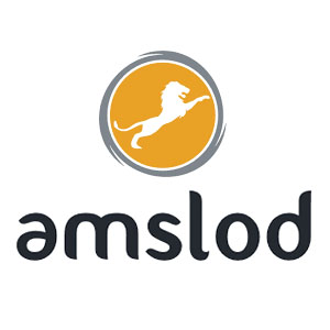 Amslod fietsaccu ion-series