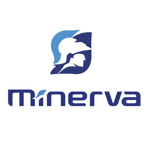 Minerva fietsaccu